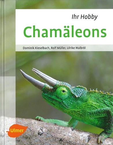 Kieselbach chamäleons - kieselbach:,