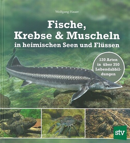 Hauer fische krebse - hauer:, fische/krebse/muscheln